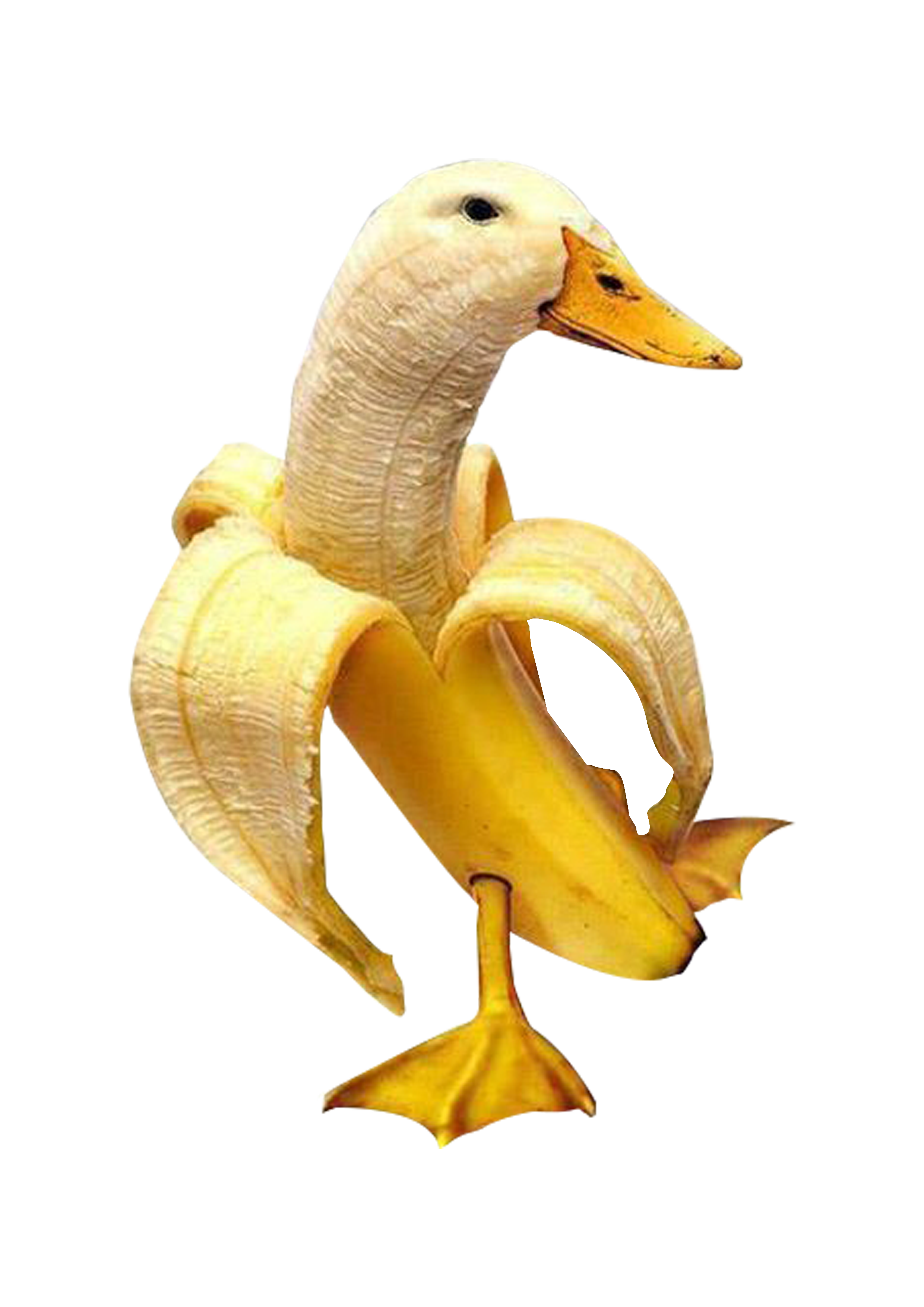 Banana Duck